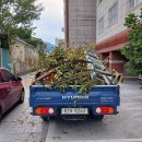 최고인력 - 남구 | 대구포장이사 대구 최고의 인력 서비스 체험 후기