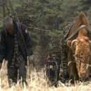 워낭소리 이미지