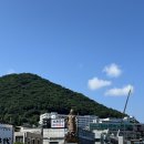 콩불여수 이미지