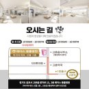 제이스동물병원 네이버블로그