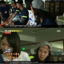 고양이 놀이터 이미지