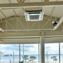 베릴키키 이미지