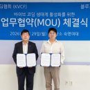 한국바이브