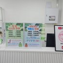 빠져 | 부천파충류샵 인스타 보고 방문했다가 완전 빠져버린 후기 :)
