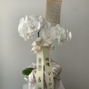 엘로디의원 이미지