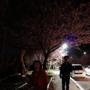 베이커스빌 이미지