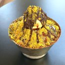 (주)동보 | 청주 대형 베이커리 카페 엔트라포레 후기