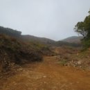 상천리-1 이미지