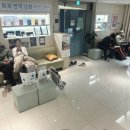 닥터박의원 | 한약 다이어트 환, 효과? 부작용? -현직 한의사 작성