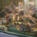 강남-292 | 강남 맛집 무화잠 | 소개팅이나 상견례하기 좋은 주말한상 내돈내산 후기