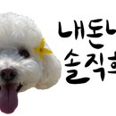 정선미한복갤러리 이미지