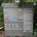 칠절리 | [제주] 비 온 다음날 가기 좋은 중문 가볼만한 곳, "천제연폭포" 내돈내산 솔직후기