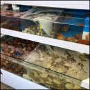 판암동221 이미지