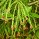 옥화마을 이미지