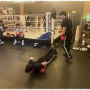 대한권투분당 이미지