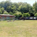 성주허스키켄넬 이미지