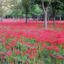 영광상사 이미지