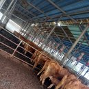 영석축사 이미지