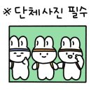 속리산둘레길 보은길4 이미지