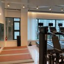 찬스휘트니스 이미지