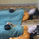 변산해수찜. 해수탕 이미지