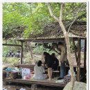 밤나무계곡민박 이미지