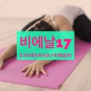 비에날17 유산균 (비에날씬/ 다이어트 유산균/ 체지방감소/ 모유유래)