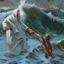 코자이너 이미지