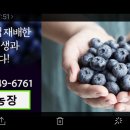 상빈농장 이미지