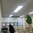 하이클린 네이버블로그