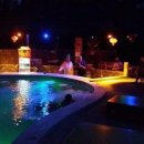 호텔정글(jungle) 이미지