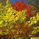 중산리 마을회관 이미지