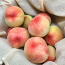 진고개농장 이미지