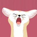 배프 이미지