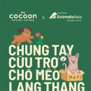 코쿤(cocoon)