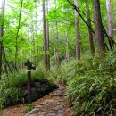 산새소리물소리 이미지