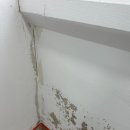 용산주공2단지아파트 이미지