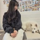 용평3길 이미지