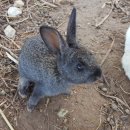 유레카유치원 이미지