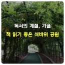 은행나무 배트민턴장 | 책 읽기 좋은 공원 인천 석바위공원