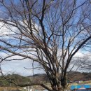 효마루마을 이미지