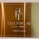 셀포랩스타 이미지