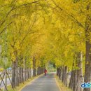 은행 모텔 이미지