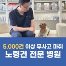 코아동물병원 이미지