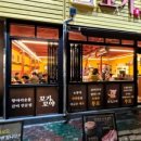 꼬야애견 이미지