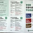 춘천농협 경제사업소 이미지