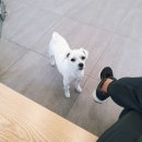 래온동물병원 이미지