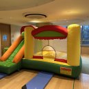 나무에서 이미지