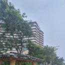 사우나산토리노 이미지