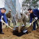 아름드리 이미지